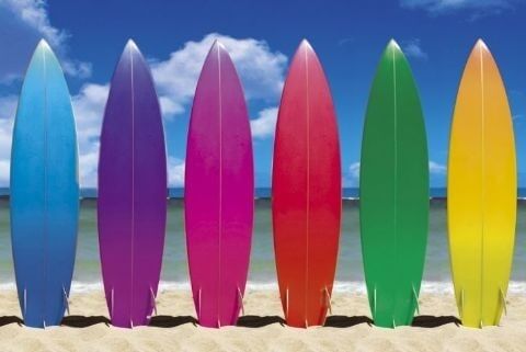 Best Surf Shops In Ocean City OceanCity